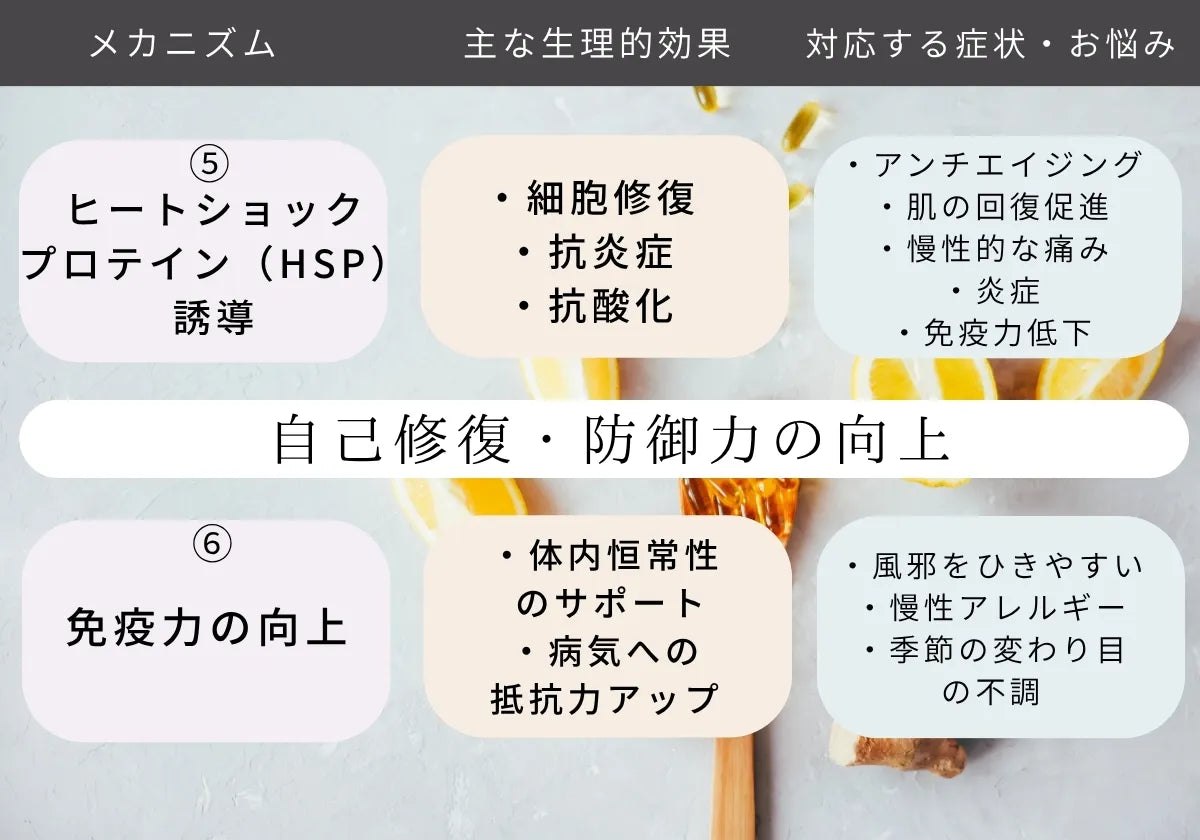 ヒートショックプロテイン誘導によるアンチエイジング 肌の回復促進 慢性的な痛み 炎症 改善 免疫力の向上による 慢性アレルギー 季節の変わり目の不調 改善などが期待できます