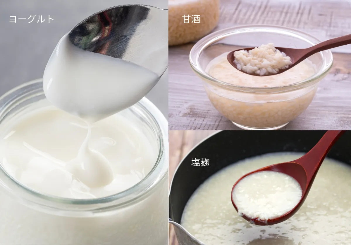 ヨーグルト、甘酒、塩麹など発酵調理を楽しむなら発酵ヨーグルトメーカーDANKE(ダンケ)