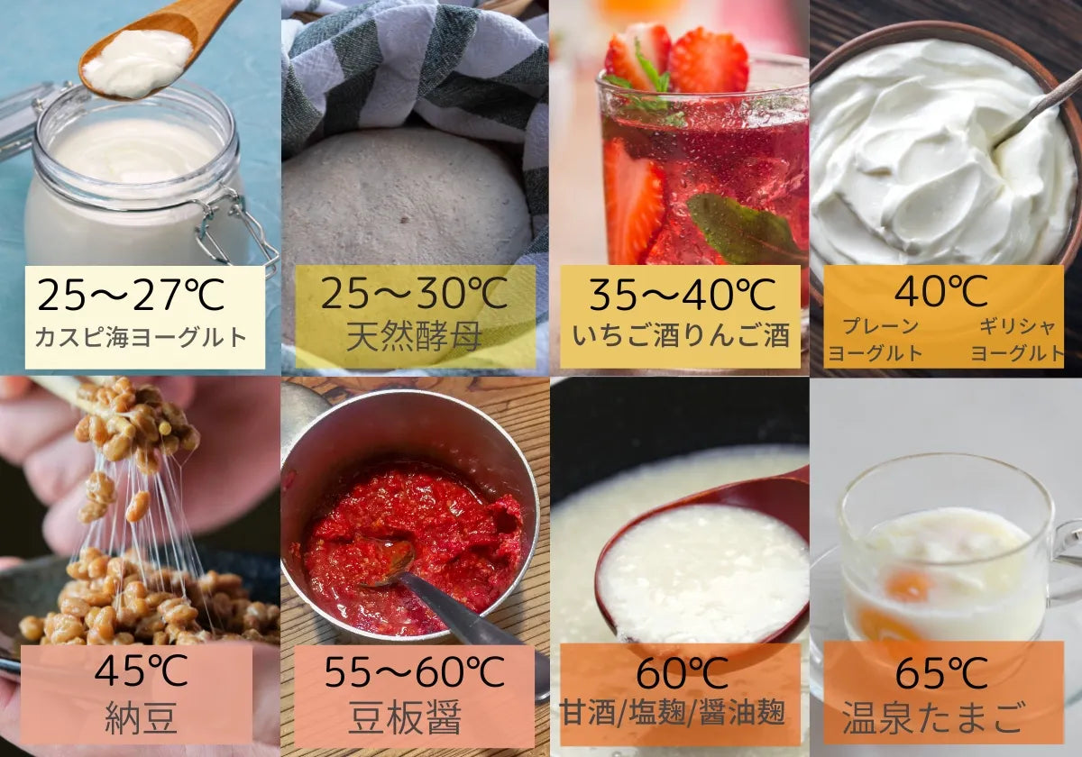 天然酵母、納豆、豆板醤、発酵調理を楽しむなら発酵ヨーグルトメーカーDANKE(ダンケ)