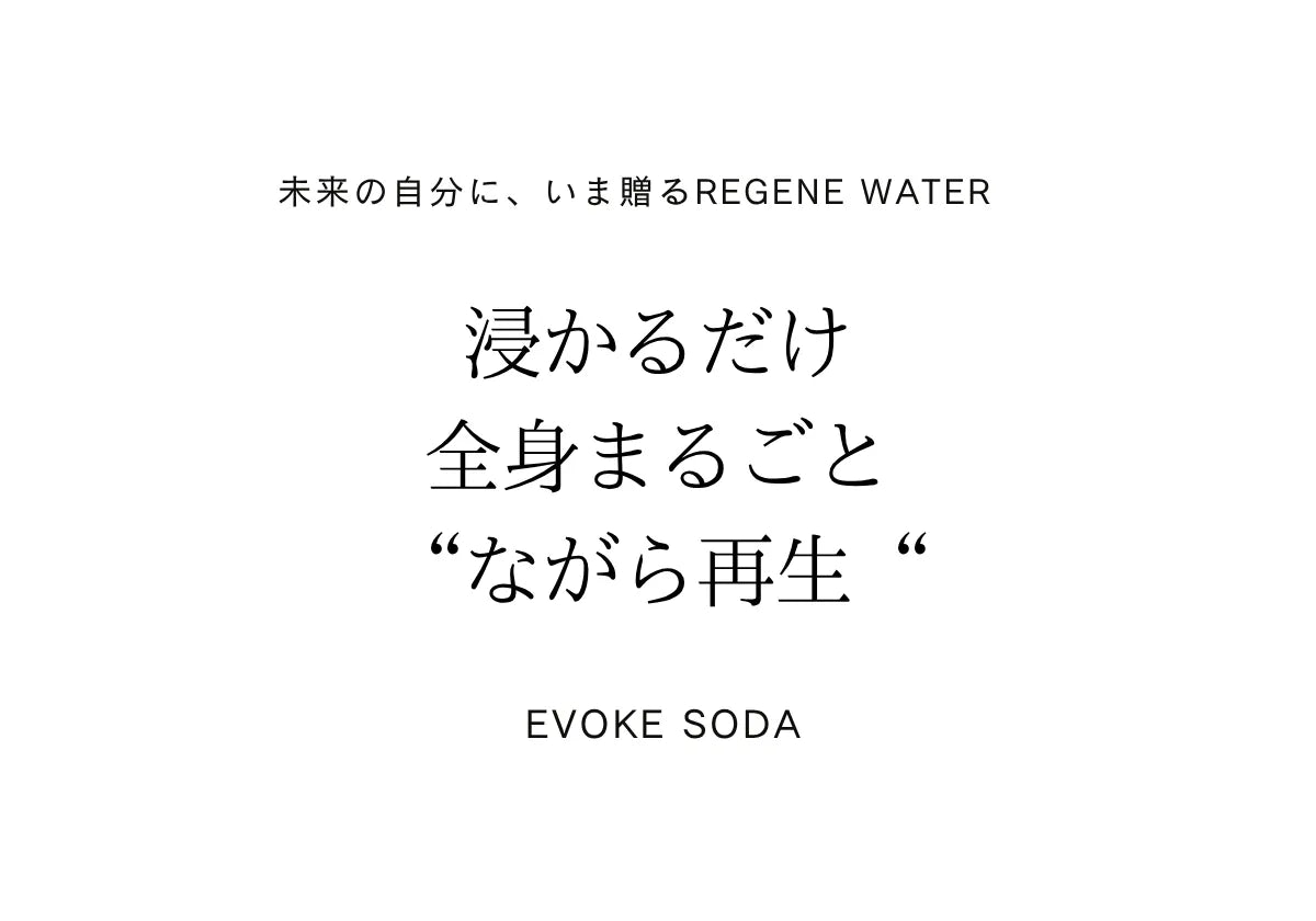 EVOKE SODA  高濃度炭酸泉メーカー　DK-EV01