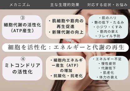細胞代謝の活性化による肌のハリ、ツヤの低下 たるみ 小じわ くすみ 改善 フレイル予防 ミトコンドリア活性化による エネルギー不足 慢性疲労 代謝低下 肌老化 体力の衰え改善　が期待できます