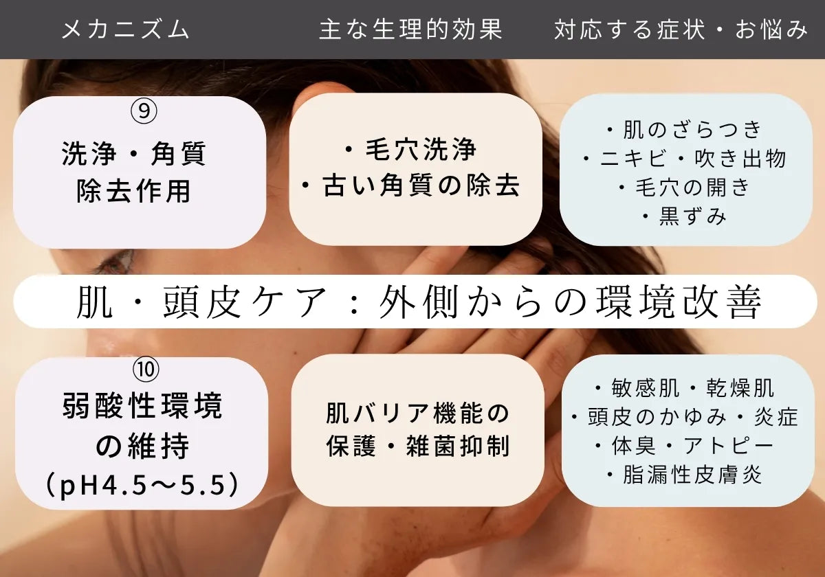 洗浄・角質除去作用によるニキビ  吹き出物 毛穴の開き 黒ずみなどの改善　弱酸性環境の維持による敏感肌 乾燥肌 頭皮のかゆみ 炎症　体臭 アトピー性皮膚炎 脂漏性皮膚炎 の改善が期待できる高濃度炭酸泉メーカーEVOKE SODA