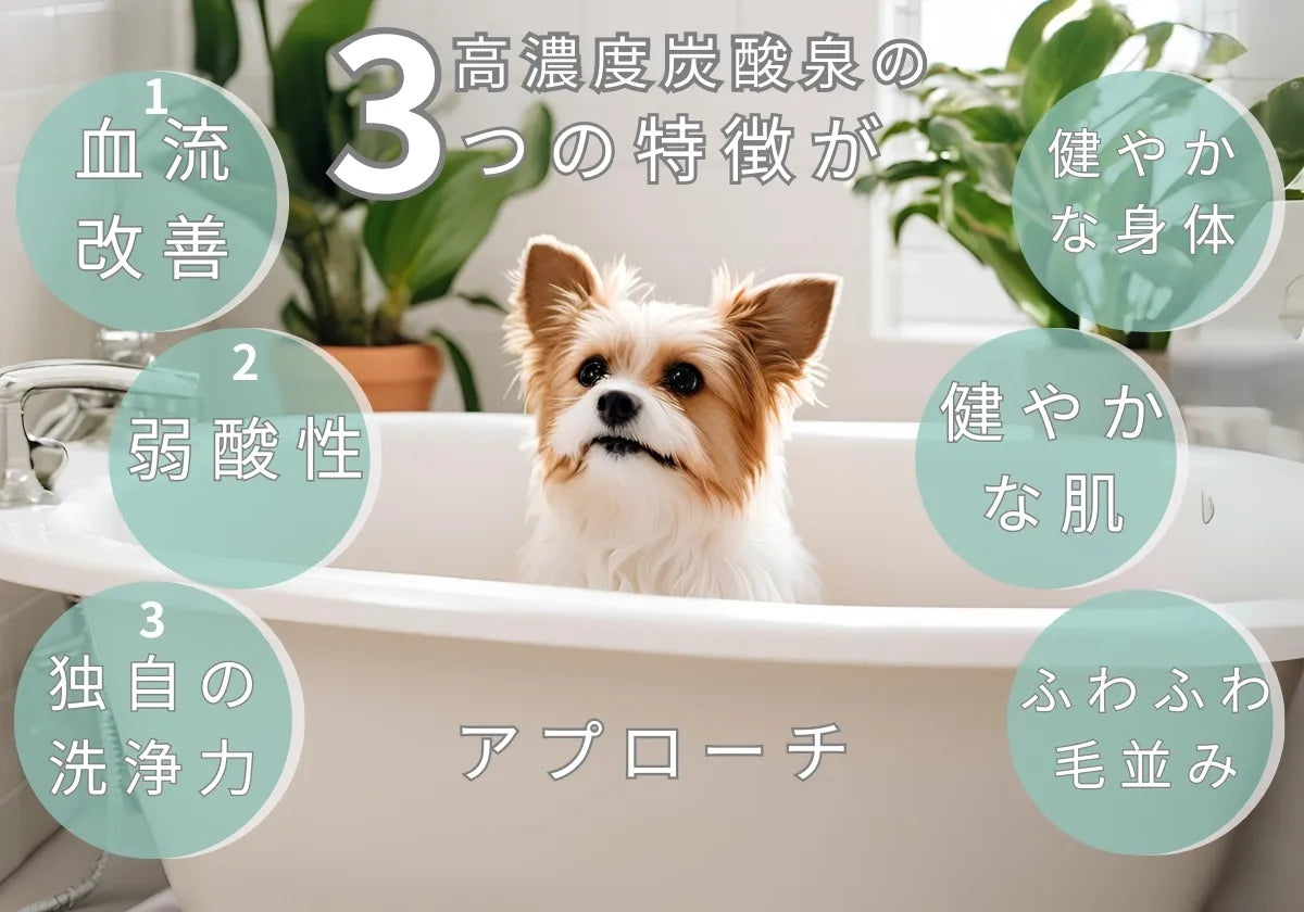 ペットのお悩みを改善する　高濃度炭酸泉の3つの特徴　